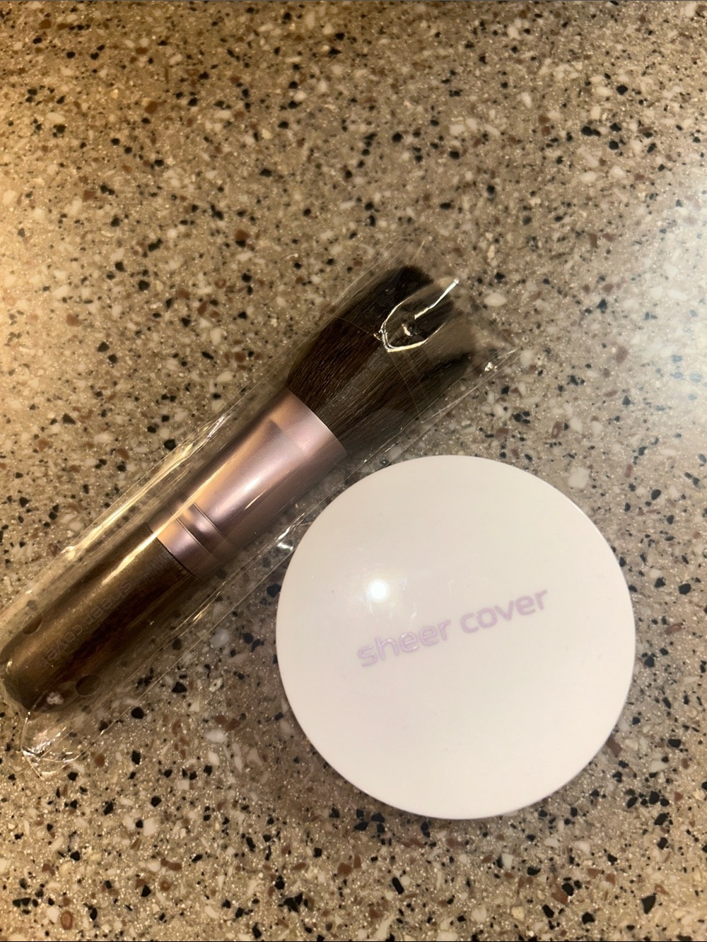 Sheer Cover Compact with Kabuki Brush - light
